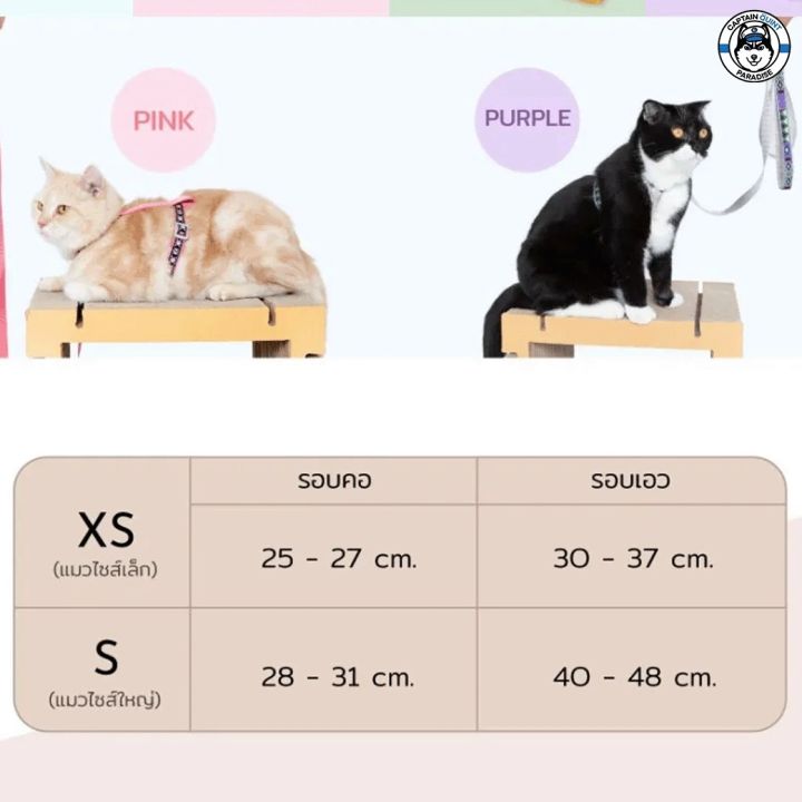 kafbo-สายรัดอกและสายจูงสำหรับแมว-สายจูงแมว-สายรัดอกแมว-cat-harness-leash-สายจูงสัตว์เลี้ยง-ปลอกคอและสายจูง