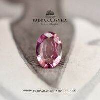 พัดพารัดชา ไพลินพัดพารัดชา 0.61 กะรัต Padparadscha Sapphire