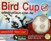 เบิร์ด คัพ (Bird cup)