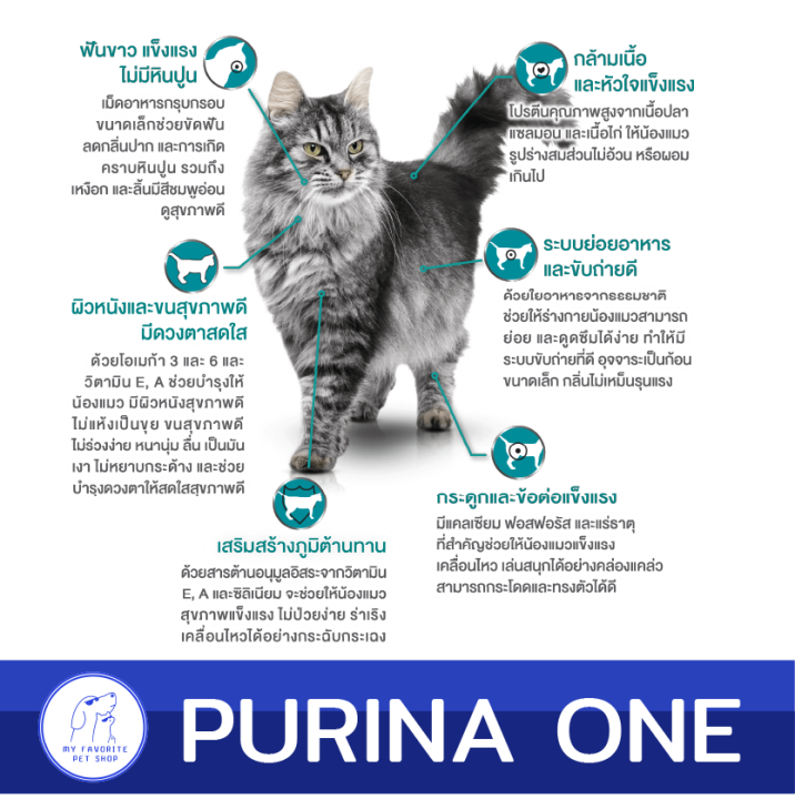 purina-one-เพียวริน่าวัน-อาหารแมวแบบเม็ด-ขนาด-1-2-kg