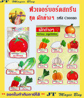 ฟิวเจอร์บอร์ดสกรีน  ชุด ผักต่างๆ Various Vegetables ( 1 ชุด บรรจุ 10 ชิ้น )  รหัส  C00080