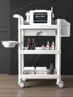 ◐▼✐ salon special trolley skin management mobile hand push plastic care instrument tool cart