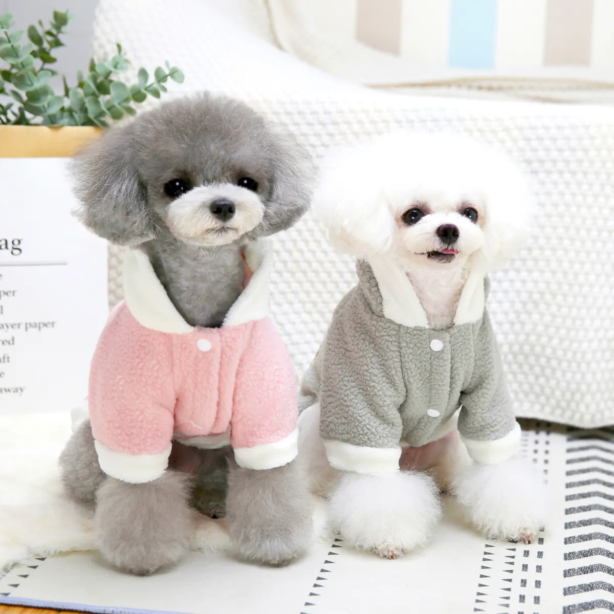 1 Chiếc Áo Hoodie Giữ Ấm Dày Họa Tiết Gấu Thú Cưng Dễ Thương Áo Nỉ Có Mũ  Cho Chó Mèo Cún Con Mèo Con Mèo Con 