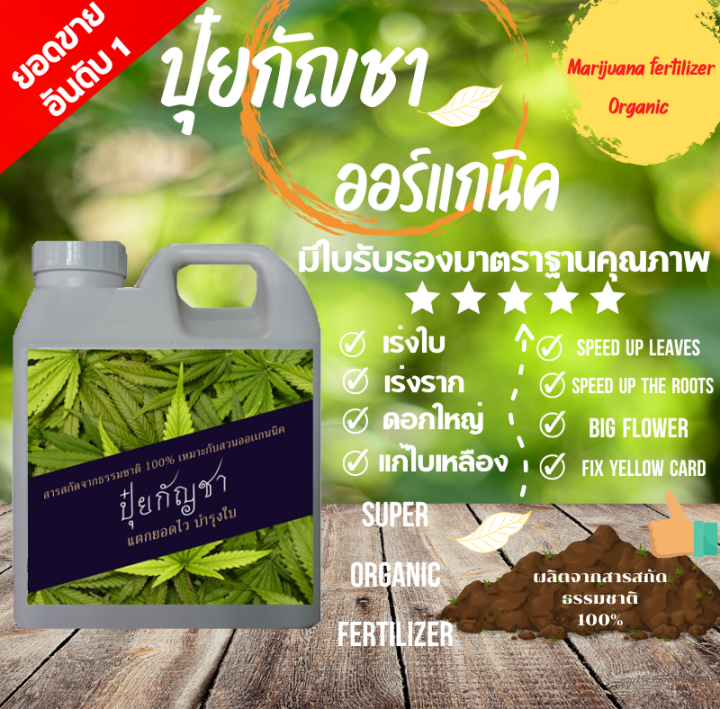 ปุ๋ยกันชา-1000ml-สูตรโตไว-เร่งใบ-แก้ใบเหลือง-ออร์แกนิค100-1000ml-fertilizer-organic-npk-สูตรออแกนิ-1000ml-100-ไร้สารเคมีปลอดสารเคมี