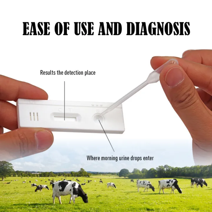 Cow Pregnancy Test Strip, 3 X  Inch Cow Pregnancy Tester, Pregnancy Test  Paper, Animal Husbandry Equipment | Lazada PH