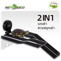 Reptizoo บกเต่า สวนสนุกเต่า ตัวติดแน่น วัสดุพรีเมี่ยม