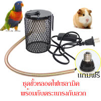 แถมหลอดไฟให้ความร้อนสัตว์ ขั้วเซรามิค (มีที่ครอบตาข่าย) ป้องกันไม่ให้สัตว์เลี้ยงโดนหลอดไฟ แบบแขวนได้ รุ่นสวิตช์ปรับระดับได้