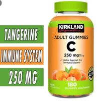 Kirkland Signature Vitamin C 250 mg., 180 Adult Gummies รสชาติอร่อย เคี้ยวง่าย 1 กระปุก 180 เม็ด Exp.02/2024 (รูปจริงรูปที่ 2 ดูก่อนสั่งค่ะ)