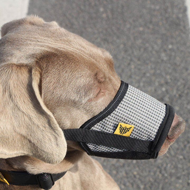 penutup mulut anjing