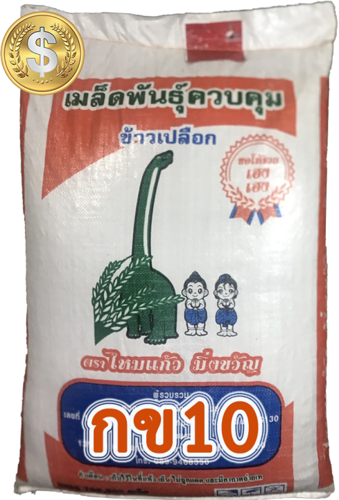 ข้าวเหนียว-กข10-23-กก