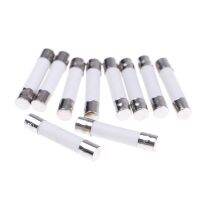 10 Pcs Microwave Ceramic Fuse Electric 20A 250V Home Supplies DIY 6x30mm