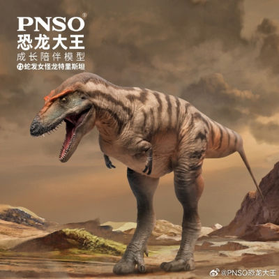 Pnso gorgosaurus รุ่น135ซม. 25ซม. โบราณ prehistroy สัตว์รุ่น theropoda gorgosaurus ห้องสมุดอิเล็กทรอนิกส์