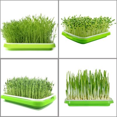 1 PCS Home Garden Nursery Pots Home Microgreen Soilless Hydroponics Seed Sprouter Grow Tray