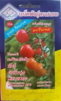 เมล็ดพันธุ์ มะเขือเทศ  ?หมดอายุ09/2566?มะเขือเครือส้ม พันธุ์ตำบักหุ่ง✅บรรจุประมาณ40-50เมล็ด ลูกดก กินอร่อย ใส่ส้มตำอร่อยมาก