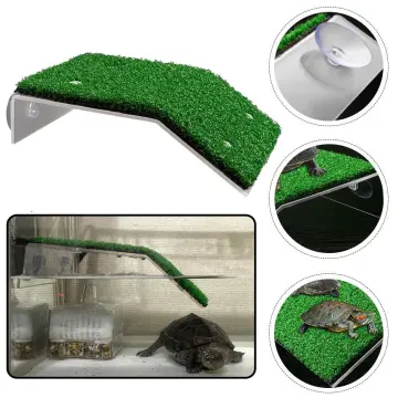 Shop Turtle Aquarium Accessories Moss with great discounts and