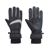 【LZ】№♕  Luvas de esqui inverno adulto à prova dthickágua espessada à prova vento veludo aquecimento hóquei no gelo esqui mitten climing ao ar livre equipamento ciclismo