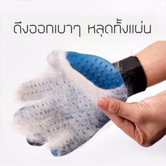 true-touch-ถุงมือแปรงขนสุนัขและแมว-หวีขนสุนัขและขนแมว-ลดปัญหาขนร่วงกระจาย-และไม่ทำให้สัตว์เลี้ยงรู้สึกเจ็บเมื่อแปรงขน