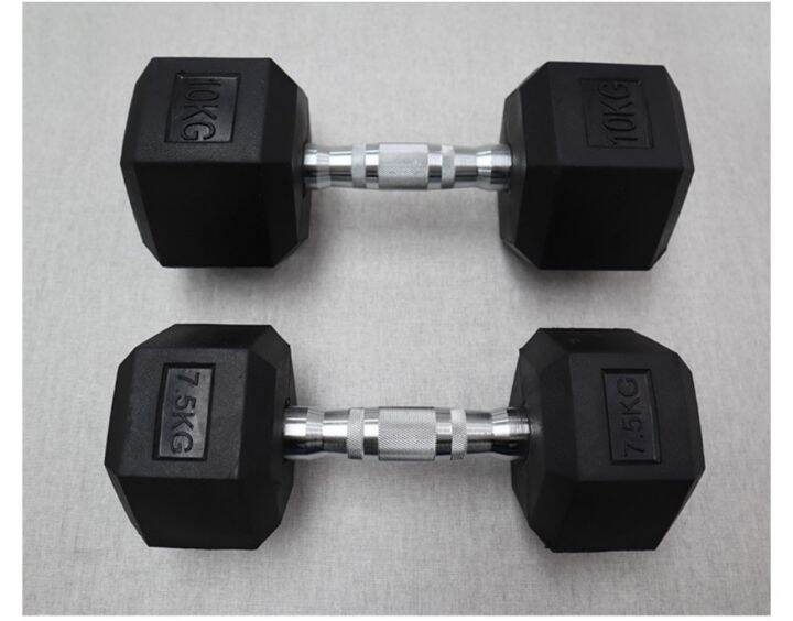 PAIR / 2 PCS Rubber Hex Dumbells | 10 LBS | Hexagonal Dumbbells | 10 ...