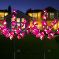 Phalaenopsis Flower Outdoor Solar Lighting for The Garden and Vegetable Patch Waterproof Lawn Lamps Street Yard Decoration