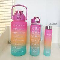 900Ml Dazzling Color Water Bottle Gradient Frosting Sports Kettle Portable Handle Direct Drinking Car Cup With Bounce Cover