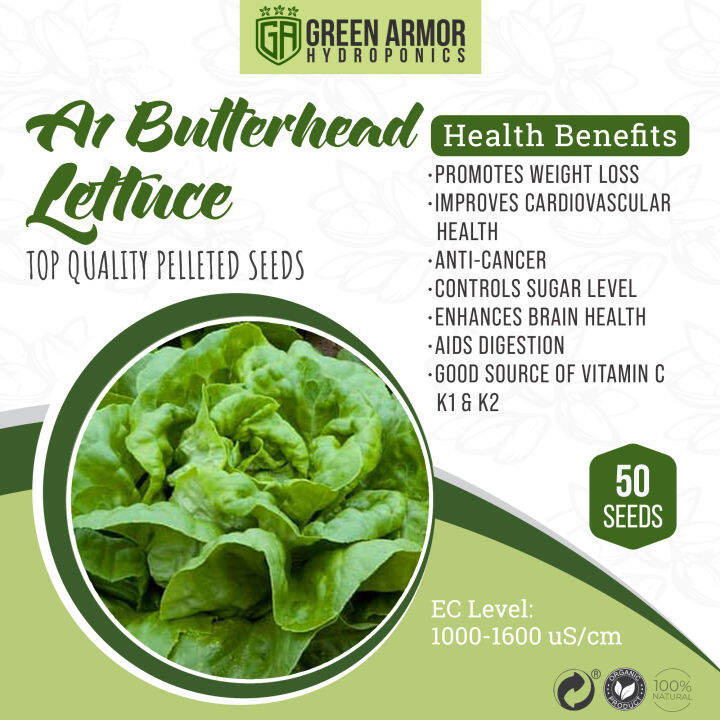 A1 Butterhead Lettuce Pelleted Seeds Lazada PH
