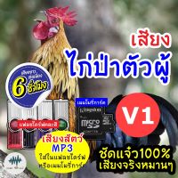 ?โปรแรง++ (MP3 เสียงต่อสัตว์) เสียงไก่ป่าผู้ V.1 [6ชั่วโมง] ใส่แฟลชไดร์ฟ/เมมโมรี่ มี เสียงดี ชัด100% ไม่มีโฆษณาแทรก สุดคุ้ม แฟลชไดร์ฟ typ c