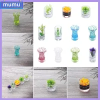 MUMU พืชสีเขียว ของเล่น furnitue เครื่องประดับของเล่น โมเดลจิ๋ว อุปกรณ์ตุ๊กตา แจกันดอกไม้บ้านตุ๊กตา ขวดแก้ว