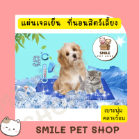 Pet cool mat ที่นอนเจลเย็น ที่นอนสุนัข ที่นอนแมว แบบเย็น  ที่นอนสัตว์เลี้ยง ช่วยให้สัตว์เลี้ยงคลายร้อนได้ดี