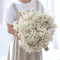 [Afei Toy Base]ธรรมชาติแห้งดอกไม้ที่เก็บรักษาไว้ Gypsophila Paniculata เด็ก39; S ลมหายใจช่อดอกไม้ของขวัญสำหรับงานแต่งงานตกแต่งบ้านอุปกรณ์ประกอบฉากสำหรับภาพ