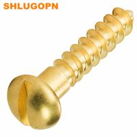 100pcs Solid Copper Brass Round Hot Mushroom Slotted Fast Drive Head Self Tapping Wood Screws Hardware Furniture Accessories