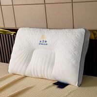 The new three-sided mesh side star cabin pillow cloud cabin pillow core space capsule latex pillow star hotel sleeps comfortably pillows