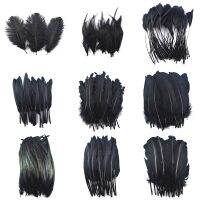 20pcs/Lot Dyed Black Feathers Rooster Goose Pheasant Feathers for Crafts jewelry making Peacock Feather Wedding Decoration Plume