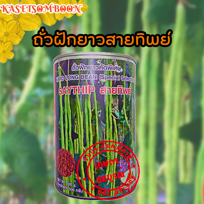 ถั่วฝักยาวสายทิพย์ เมล็ดพันธุ์ถั่วเนื้อ 500 ก. ตราภูเขาทอง