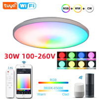 Jiuch โคมไฟติดเพดาน LED RGBCW 30W หรี่แสงได้แอพนำสมัย TUYA รีโมทคอนโทรล WIFI ควบคุมด้วยเสียงโคมไฟตกแต่งห้องนอนโรแมนติกโคมไฟงานปาร์ตี้ในร่ม16ล้านสีพร้อมไฟเส้น RGB คุณภาพสูงโคมไฟติดเพดานเพดานอะคริลิก