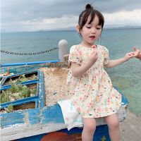 Girls 2023 Summer Children Floral Dress Children Clothes  by Hs2023