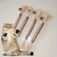 Hot Pure Natural Pet Cat Wooden Polygonum Stick Cat Tooth Cleaning Silvervin Stick Cane Pet Supplies Toys Toys