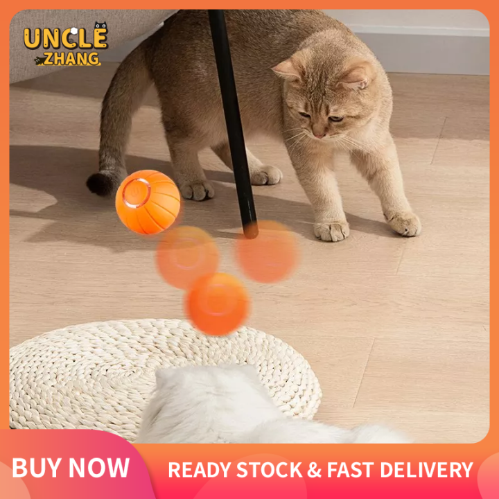 Smart Cat Toys Interactive Automatic Bouncing Cat Ball Pet Smart