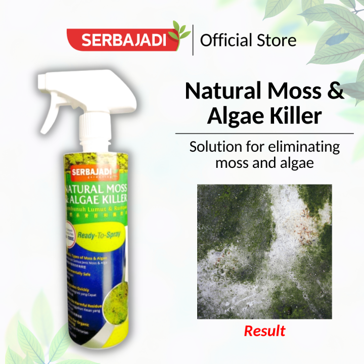 Serbajadi Moss And Algae Killer Spray Spray na Pampatay ng Lumot at