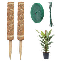 Moss Pole, 2Pcs 40Cm Coir Moss Pole For Monstera And Cheese Plants, Indoor Plant Holder, 20 Cable Ties And 2M Garden Ties