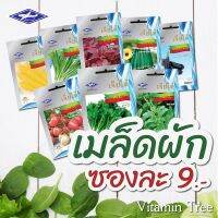 เมล็ดผัก เจียไต๋ 9บาท ผักสวนครัว ผักบุ้ง ผักกาด ต้นหอม มะเขือ กวางตุ้ง กะเพรา โหระพา มะระ ผักชี แฟง คะน้า แตง ถั่วฝักยาว