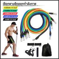 【11ชิ้น】New -ใหม่ ยางยืดออกกำลัง ยางยืด สายแรงต้าน ออกกำลังกาย Resistance Bands Set สร้างกล้ามเนื้อ Kit Upgrade Resistance Bands Set Loop Bands อุปกรณ์ออกกำลังกายหน้าอกดึงกล้ามเนื้อ