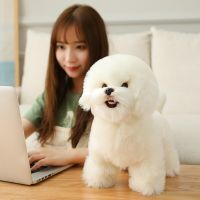 9 Kinds Dog Simulation Bichon Frise Plush Dog Toy Super Cute Likelife Corgi Dog Doll Stuffed Animal Maltese Dog Puppy Pets ToysTH