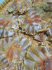 Khô cá đuối xé tẩm gia vị vừa ăn, không mặn - ảnh sản phẩm 5
