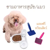 KDO แปรงหวีขน (มีที่ใส่อาหารและหวีขนสัวต์ขาย) ที่ใส่อาหาร ชามอาหารเข้ามุม ที่ใส่อาหารหมา ที่ใส่อาหารแมว ชามใส่น้ำ แปรงหวีขนสัตว์ แปรงหวีขนหมา แปรงหวีขนสัตว์ แปรงหวีขนสุนัข