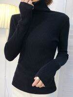 ▧☍ ITOOLIN Winter Women Turtleneck Sweater Basic Knitted Soft Pullovers Cashmere Jumpers For Women Fashion Elastic Warm Sweaters