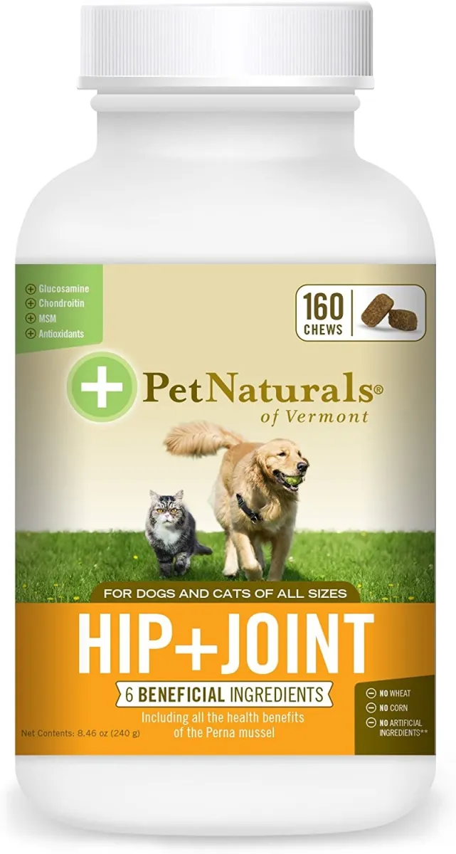 Are Glucosamine And Chondroitin Beneficial For English Mastiffs