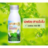 ??AFORCH (เอฟอช) สารจับใบ สารเร่งการดูดซึม ขนาด 100 ml. ของแท้ !! ??