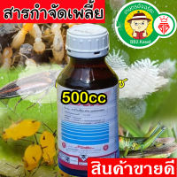 (สูตรเข้มข้น) ยาฆ่า ยาเพลี้ยไฟ 500 ซีซี เพลี้ยแป้งที่ราก เพลี้ยแป้งญี่ปุ่น เพลี้ยหอย เพลี้ยจั๊กจั่น ยาฆ่าเพลี้ยผัก