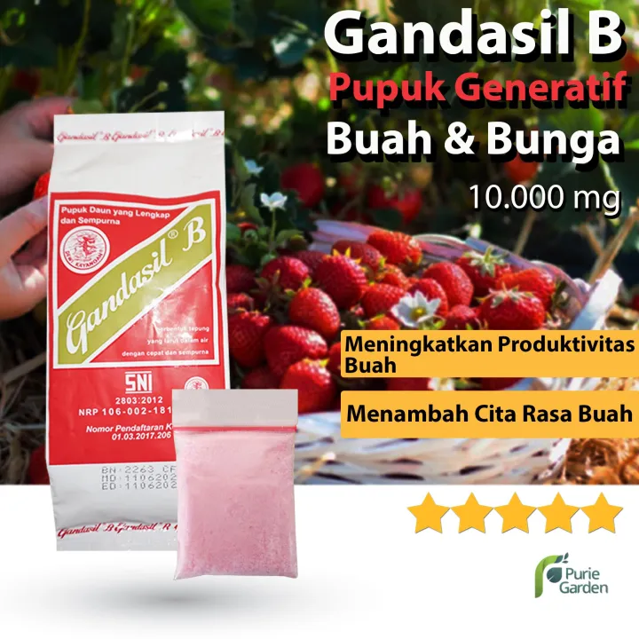 Pupuk Gandasil B Buah NPK Majemuk Fase Generatif Pembungaan Pembuahan ...