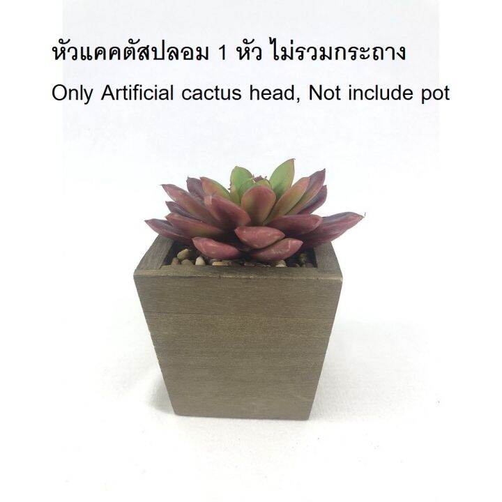 คุณภาพดี-พืชปลอม-echeveria-head-เฉพาะหัว-ไม่รวมกระถาง-r-005-bur-ต้นไม้ปลอม-สำหรับประดับตกแต่งสวนจิ๋ว-สวนขวดแก้ว-สวนถาด-รหัสสินค้า-6036